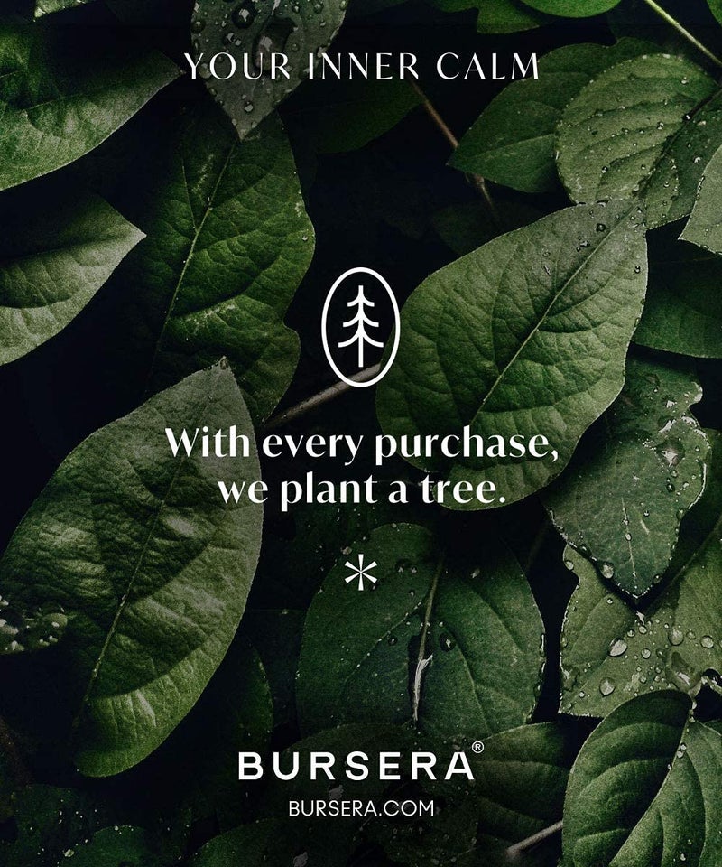 Bursera Terracotta Palo Santo Holder, Tree Planted with Every Order, Ceramic Palo Santo Burner Wood Stand, Incense Stick Burning Tray - Image 4